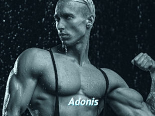 Adonis_