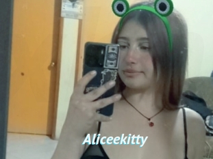 Aliceekitty