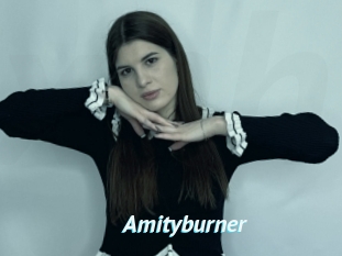 Amityburner