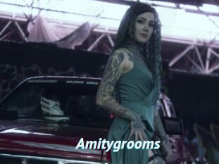 Amitygrooms