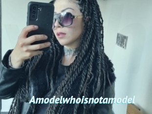 Amodelwhoisnotamodel