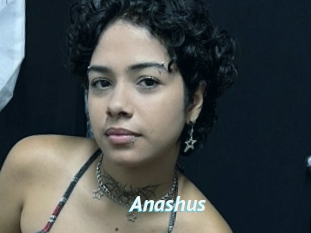 Anashus