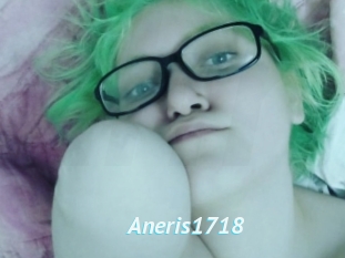 Aneris1718