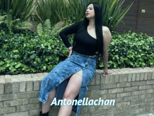 Antonellachan