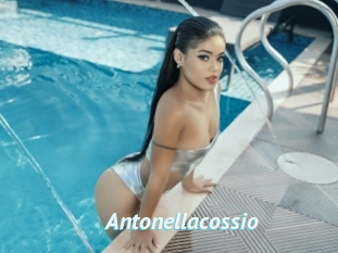 Antonellacossio