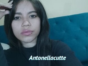 Antonellacutte