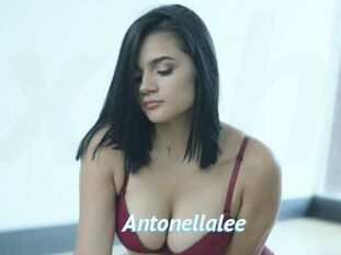 Antonellalee