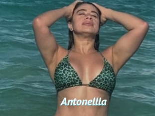 Antonellla