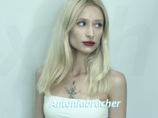 Antoniabracher