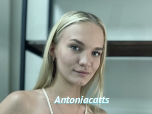 Antoniacatts