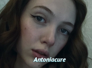 Antoniacure