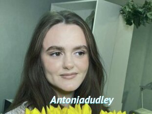 Antoniadudley