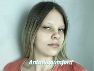 Antoniadumford