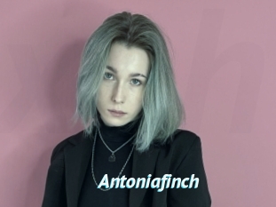 Antoniafinch