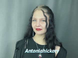 Antoniahickory