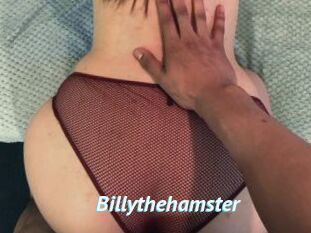 Billythehamster