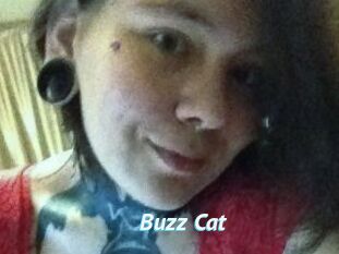 Buzz_Cat