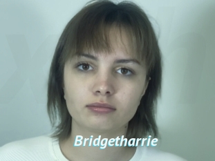 Bridgetharrie