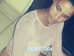 CASEY2004