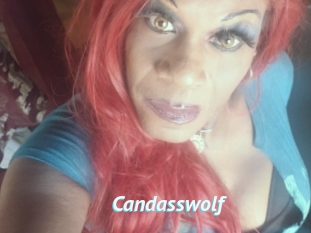 Candasswolf