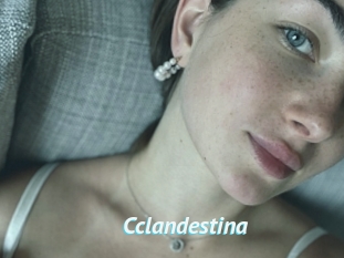 Cclandestina