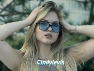 Cindylevis