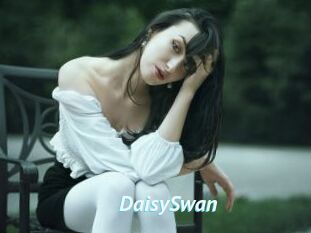 DaisySwan