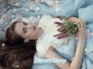 DreamSleep