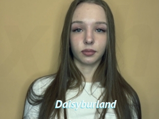 Daisyburland