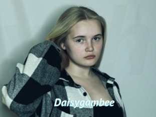 Daisygambee