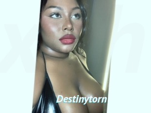 Destinytorn