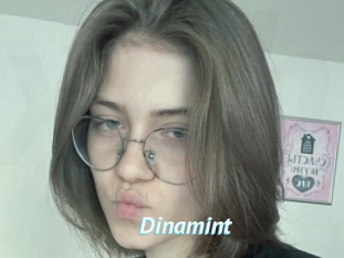 Dinamint