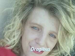 Dragibus