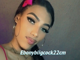 Ebonybiigcock22cm