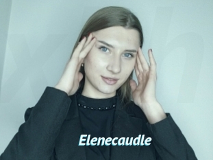 Elenecaudle