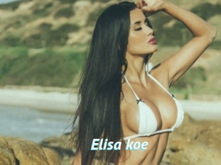 Elisa_koe