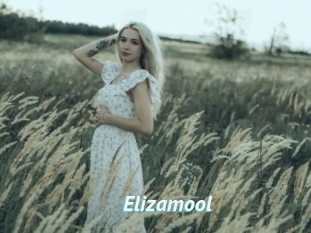 Elizamool