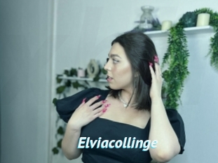 Elviacollinge