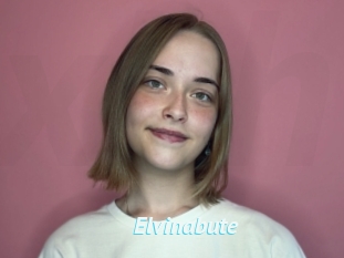 Elvinabute