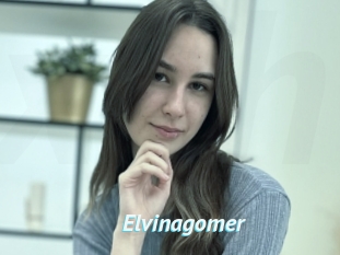 Elvinagomer