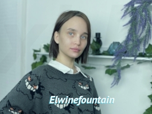 Elwinefountain