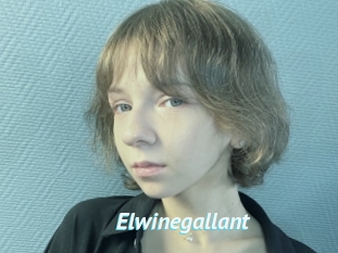 Elwinegallant