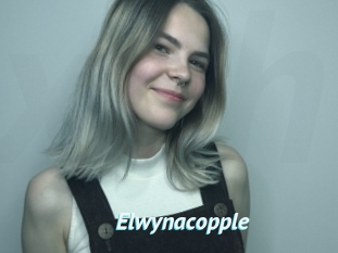 Elwynacopple