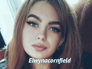 Elwynacornfield