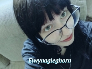 Elwynagleghorn