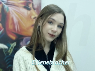 Erlenebracher