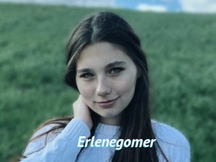 Erlenegomer