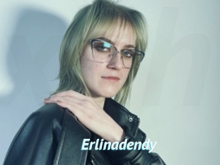 Erlinadendy