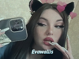 Evawallis