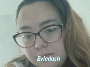 Eviedash